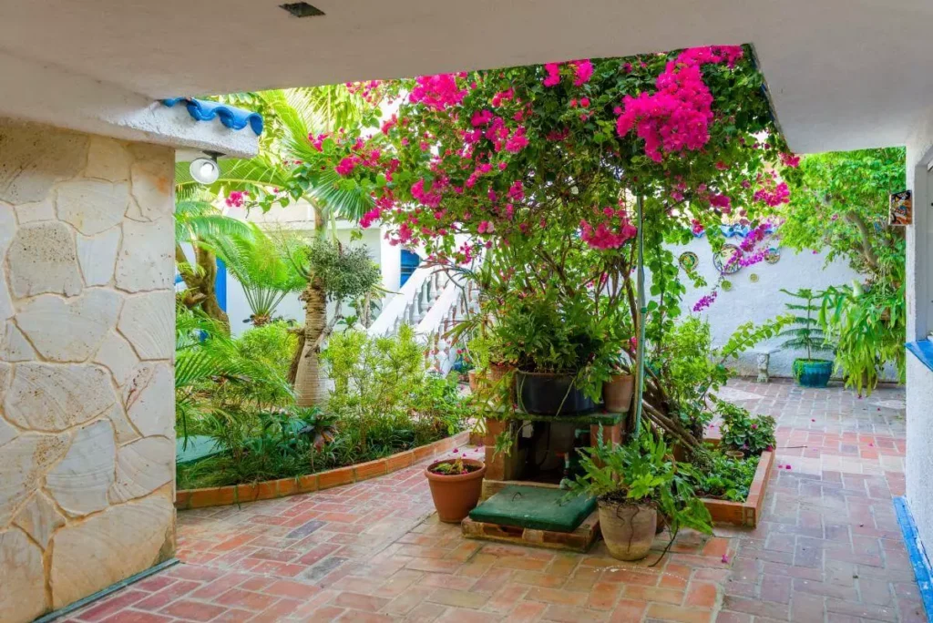Flowering courtyard and covered walkway at Villa Yan